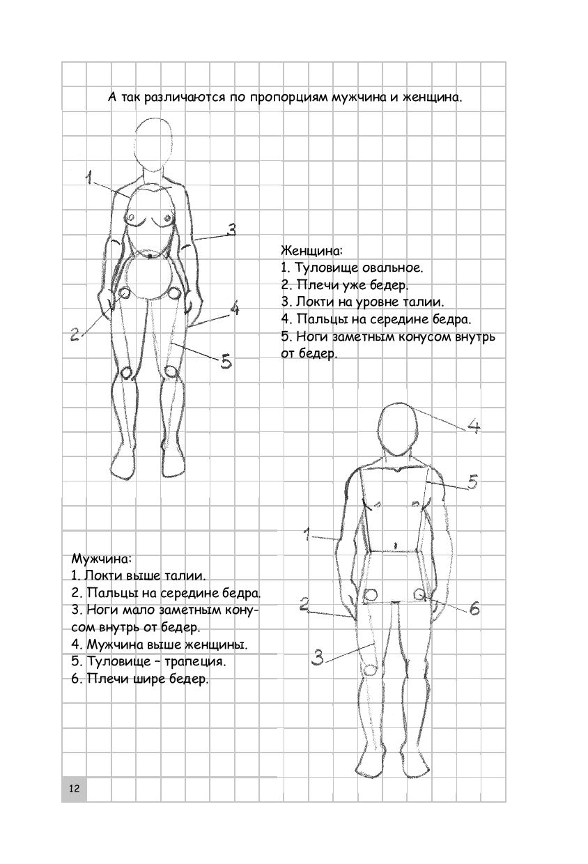 Творческий курс по рисованию рисуем человека за 4 шага