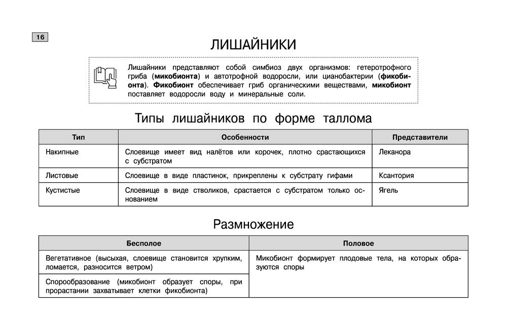 Мазур биология