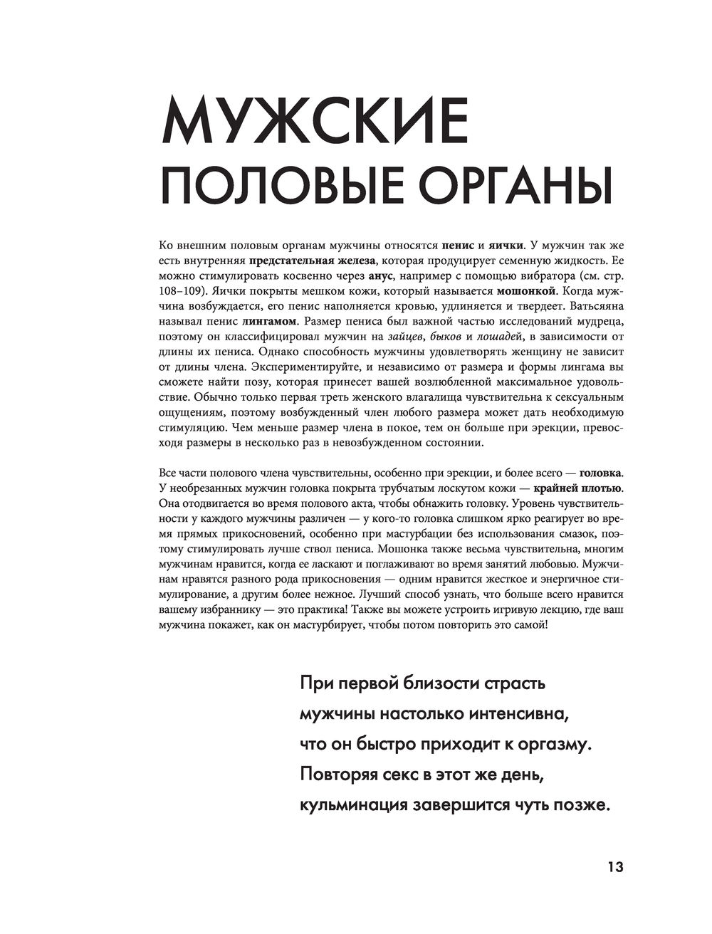 Камасутра. От прелюдии к сексу - купить книгу Камасутра. От прелюдии к  сексу в Минске — Издательство АСТ на OZ.by