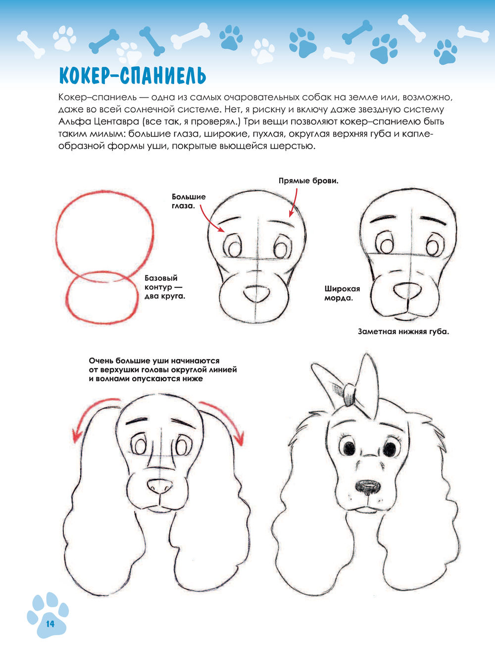 Пошаговые уроки рисования лица
