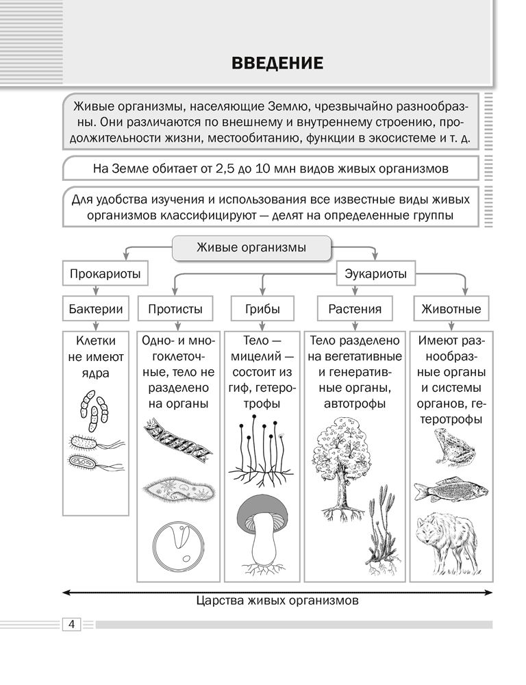 биология, 7 класс | План-конспект урока по биологии (7 класс): | Образовательная социальная сеть