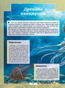 Подводный мир — фото, картинка — 4