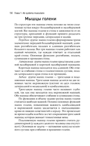 Цигун. Здоровые ноги – здоровое сердце — фото, картинка — 15