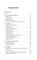 Цигун. Здоровые ноги – здоровое сердце — фото, картинка — 4