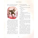 Harry Potter and the Chamber of Secrets. Illustrated Edition — фото, картинка — 5