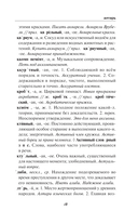 Русский язык. Толковый словарь для школьников — фото, картинка — 14