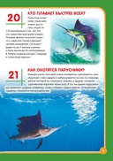 Подводный мир — фото, картинка — 11