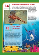 Подводный мир — фото, картинка — 8