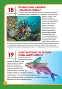 Подводный мир — фото, картинка — 10