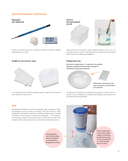 Цветы японской акварелью. Рисуем розы, тюльпаны, гортензии и сухоцветы — фото, картинка — 11