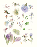 Цветы японской акварелью. Рисуем розы, тюльпаны, гортензии и сухоцветы — фото, картинка — 3