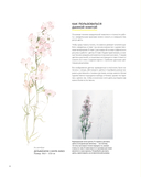 Цветы японской акварелью. Рисуем розы, тюльпаны, гортензии и сухоцветы — фото, картинка — 6