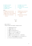 6208 ступеней лестницы любви. Уровень 3 — фото, картинка — 11