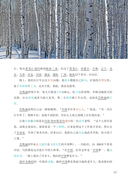 6208 ступеней лестницы любви. Уровень 3 — фото, картинка — 15