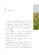 6208 ступеней лестницы любви. Уровень 3 — фото, картинка — 8