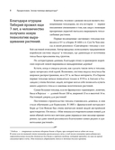 Теплица со вкусом. Эстетика, инженерии и здравый смысл под одной крышей — фото, картинка — 4
