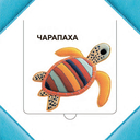 Хто хаваецца ў моры? — фото, картинка — 2