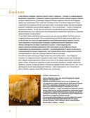 Кто есть кто в Библии — фото, картинка — 3