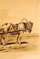 Преступление и наказание — фото, картинка — 68