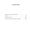 Повесть о несбывшейся любви — фото, картинка — 19
