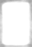 Ареал. Подарочное издание — фото, картинка — 6