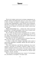 Дорога домой — фото, картинка — 1