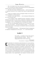 Багдадский вор. Посрамитель шайтана. Верните вора! — фото, картинка — 13