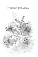 Русская лилия — фото, картинка — 1