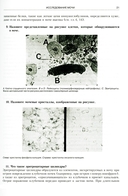 Секреты нефрологии — фото, картинка — 10