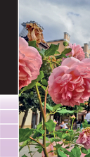 Кавказские Минеральные Воды: Минеральные воды, Пятигорск, Кисловодск, Архыз, Домбай, Приэльбрусье — фото, картинка — 12