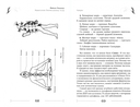 Квантовая биомеханика тела. Методика оздоровления опорно-двигательного аппарата человека. Часть 1 — фото, картинка — 2