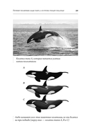 Великие вымирания — фото, картинка — 11