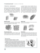 Рисуем всё-всё! От кошек до деревьев и гор. Более 50 проектов — фото, картинка — 11