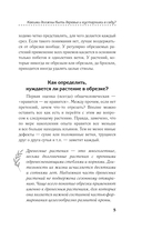 Искусство обрезки деревьев и кустарников для создания здорового и урожайного сада — фото, картинка — 5