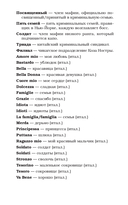 Запрет на любовь — фото, картинка — 9