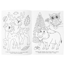 100 животных. Раскраска 100 картинок — фото, картинка — 2