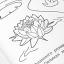 100 животных. Раскраска 100 картинок — фото, картинка — 5