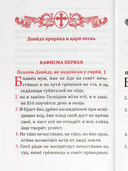Псалтирь учебная с параллельным переводом на русский язык Е.Н. и И.Н.Бируковых — фото, картинка — 1