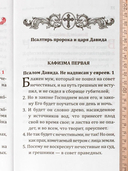 Псалтирь учебная с параллельным переводом на русский язык Е.Н. и И.Н.Бируковых — фото, картинка — 2