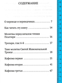Псалтирь учебная с параллельным переводом на русский язык Е.Н. и И.Н.Бируковых — фото, картинка — 3