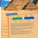 Археология для детей — фото, картинка — 6