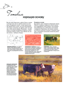 Масло и акварель — фото, картинка — 13