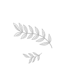 Мечтовик. Хочу, могу и получаю. Ежедневник недатированный — фото, картинка — 14