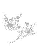 Мечтовик. Хочу, могу и получаю. Ежедневник недатированный — фото, картинка — 10