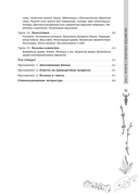 Полная книга ведьмовства. Классический курс Викки — фото, картинка — 3