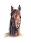 Рисуем лошадей — фото, картинка — 2