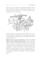 Биоритмы для здоровья. Рекомендации по режиму для хорошего самочувствия — фото, картинка — 11