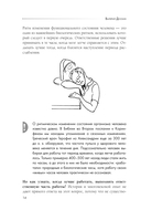 Биоритмы для здоровья. Рекомендации по режиму для хорошего самочувствия — фото, картинка — 13