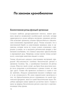 Биоритмы для здоровья. Рекомендации по режиму для хорошего самочувствия — фото, картинка — 15