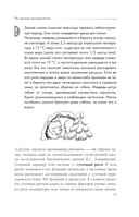 Биоритмы для здоровья. Рекомендации по режиму для хорошего самочувствия — фото, картинка — 16